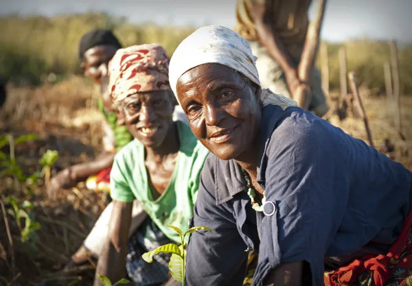 Plant a Fruit Tree in Malawi!